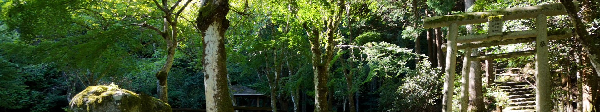 Waterfall Swimming – Nara