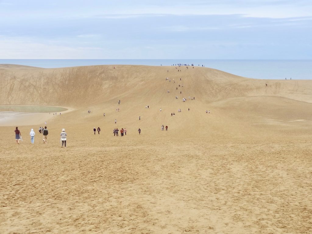 Seaside, Beach & Sand Dunes – Dune Hiking